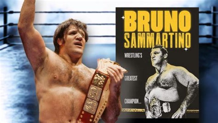
How Much Money Does Bruno Sammartino Make? Latest Income Salary
