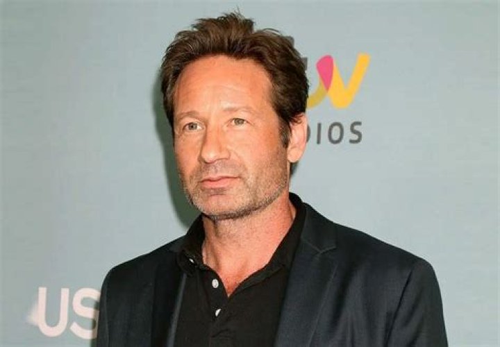 
How Much Money Does David Duchovny Make? Latest Income Salary
